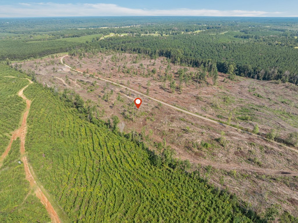 7 Lucas Hollow Road Mount Olive, MS 39119 - Photo 7 of 7 Photo 7
