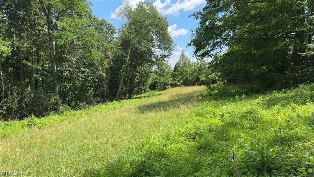 Lookout Road Stockport, OH 43787 - Photo 24 of 27