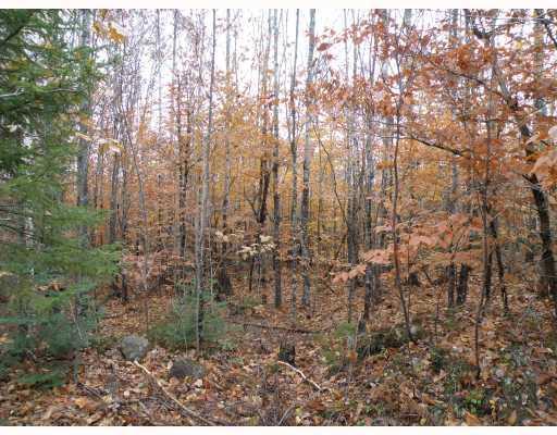 Lot 20 Hardwood Ridge Road Deblois, ME 04622 - Photo 2 of 8 Exterior Front. Interior- lots of...