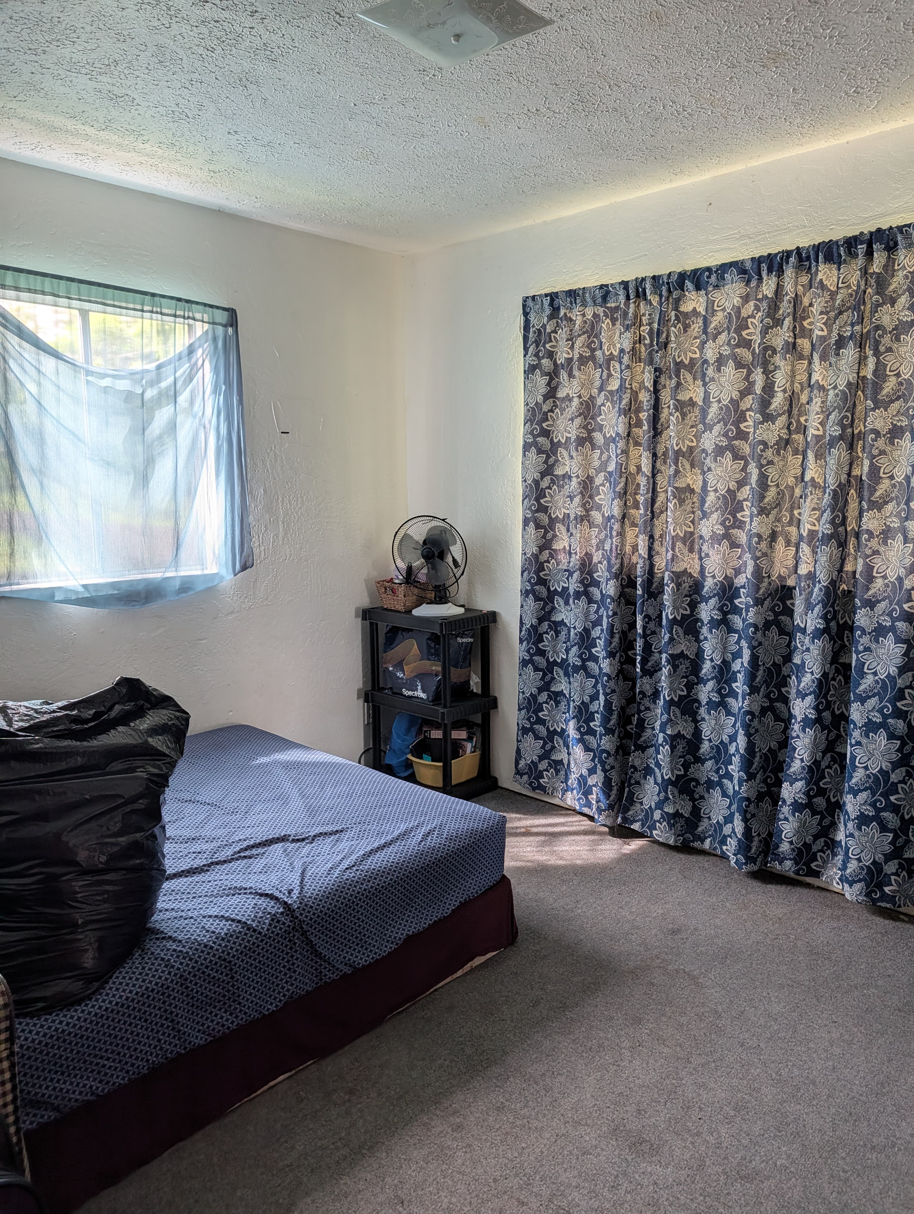 16-2027 Tiki Road Pahoa, HI 96778 - Photo 11 of 18