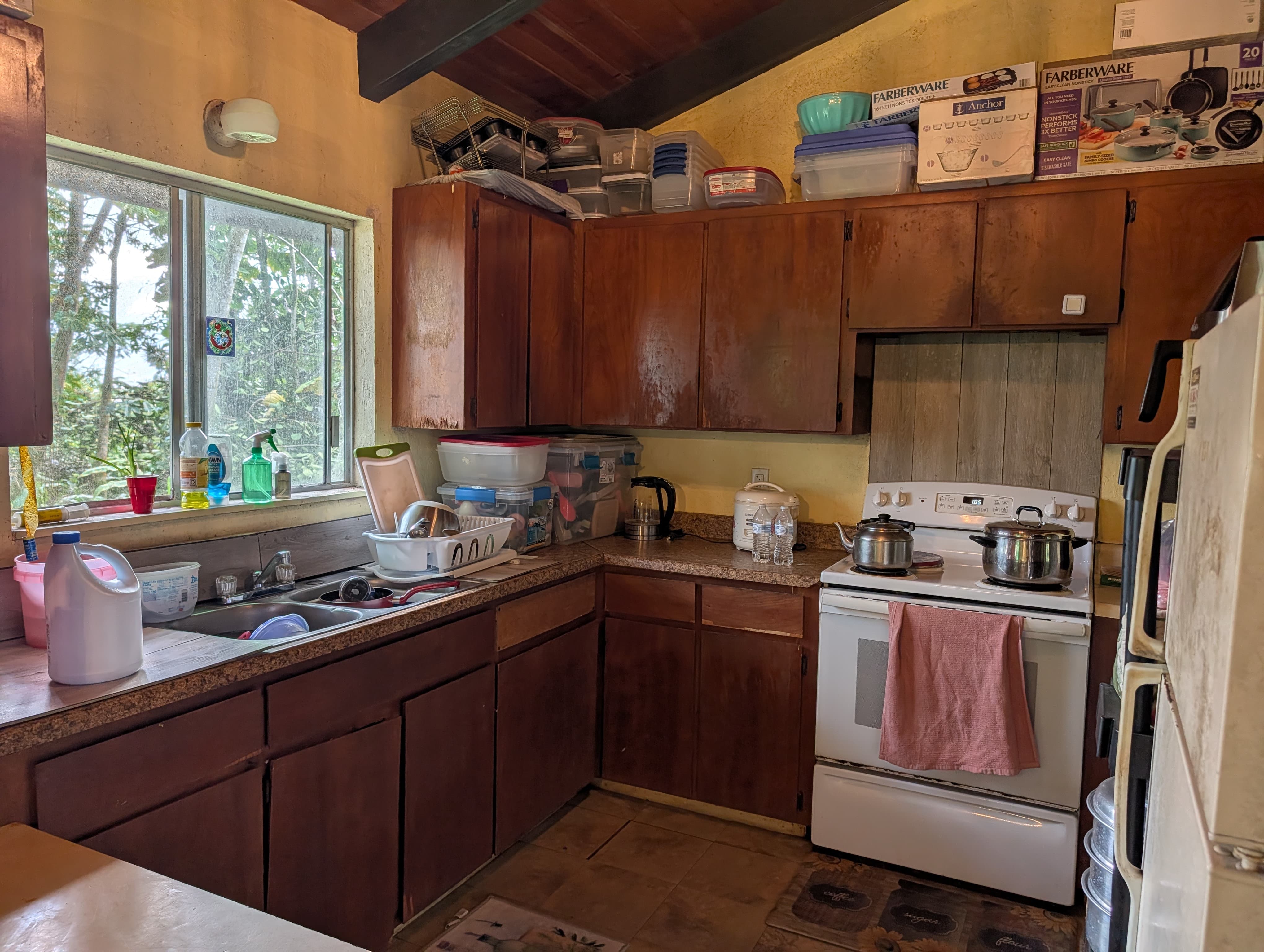 16-2027 Tiki Road Pahoa, HI 96778 - Photo 5 of 18