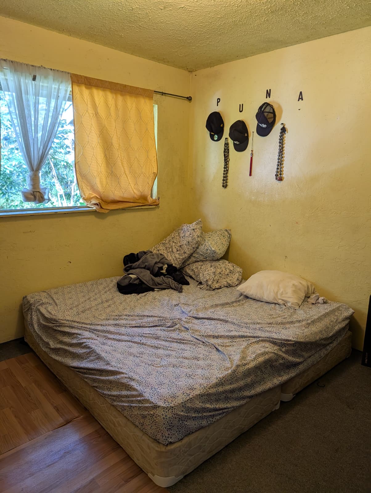 16-2027 Tiki Road Pahoa, HI 96778 - Photo 9 of 18