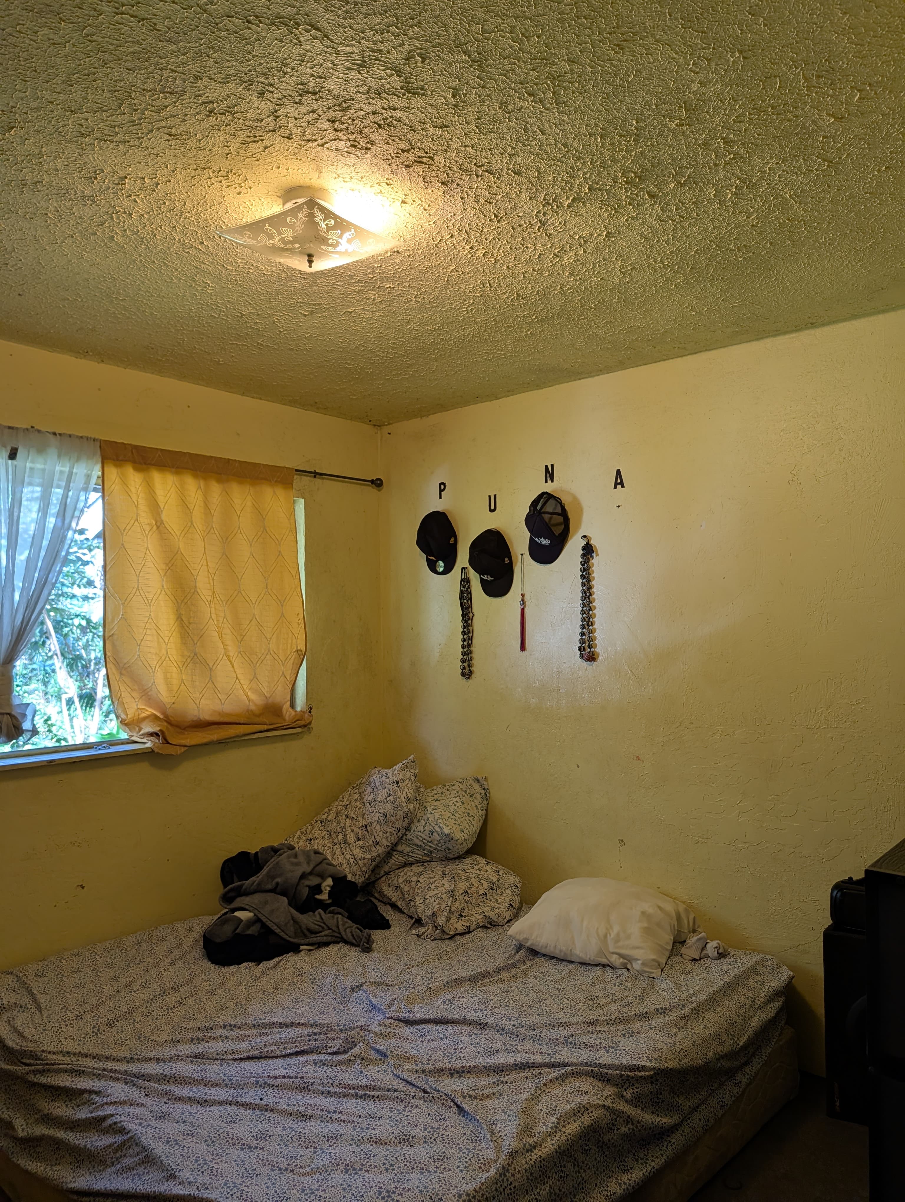 16-2027 Tiki Road Pahoa, HI 96778 - Photo 10 of 18