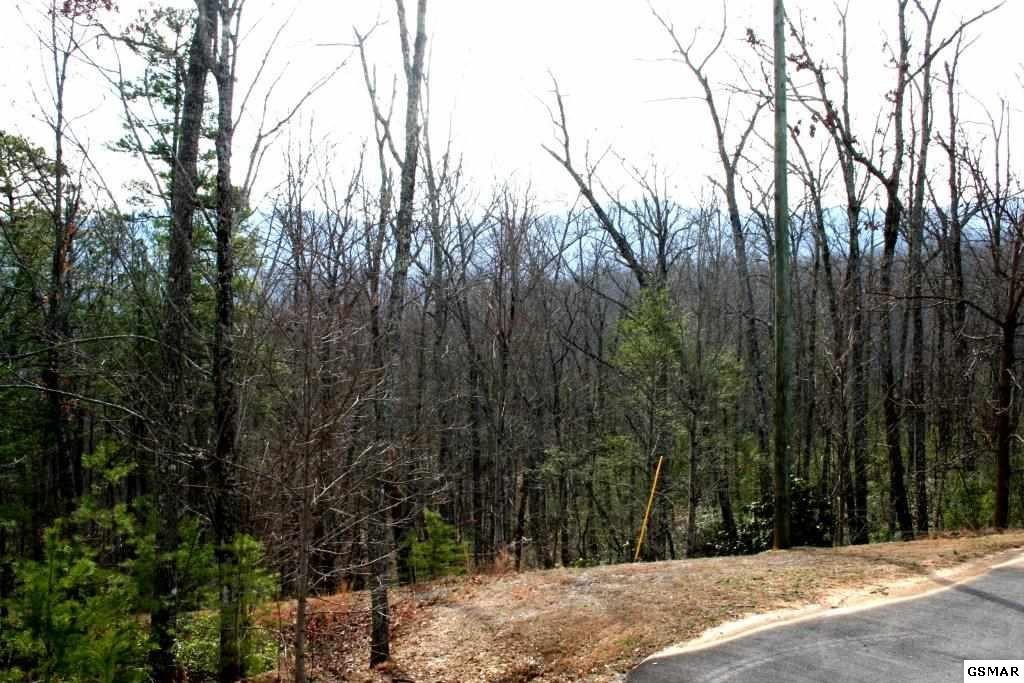 0 Morning Dove Way Sevierville, TN 37862 - Photo 4 of 5