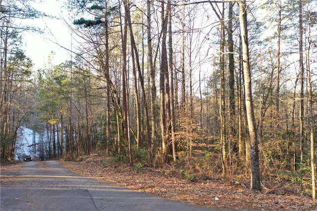 $80,000 | 613 The Bear Boulevard, Tamassee, SC 29686