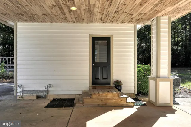 a view of a forest with trees in the background