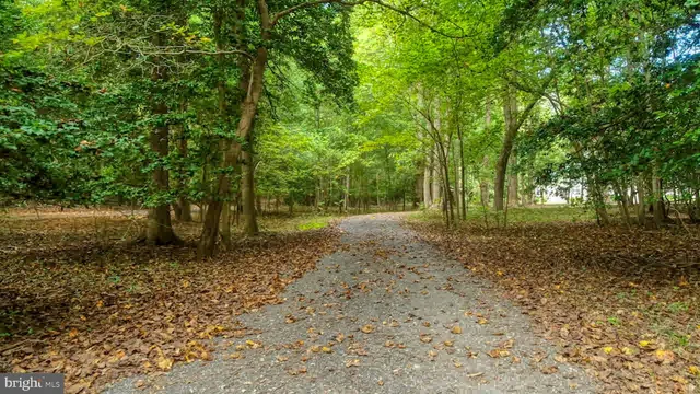 $960,000 | 29247 White Pine Lane, Milton, DE 19968