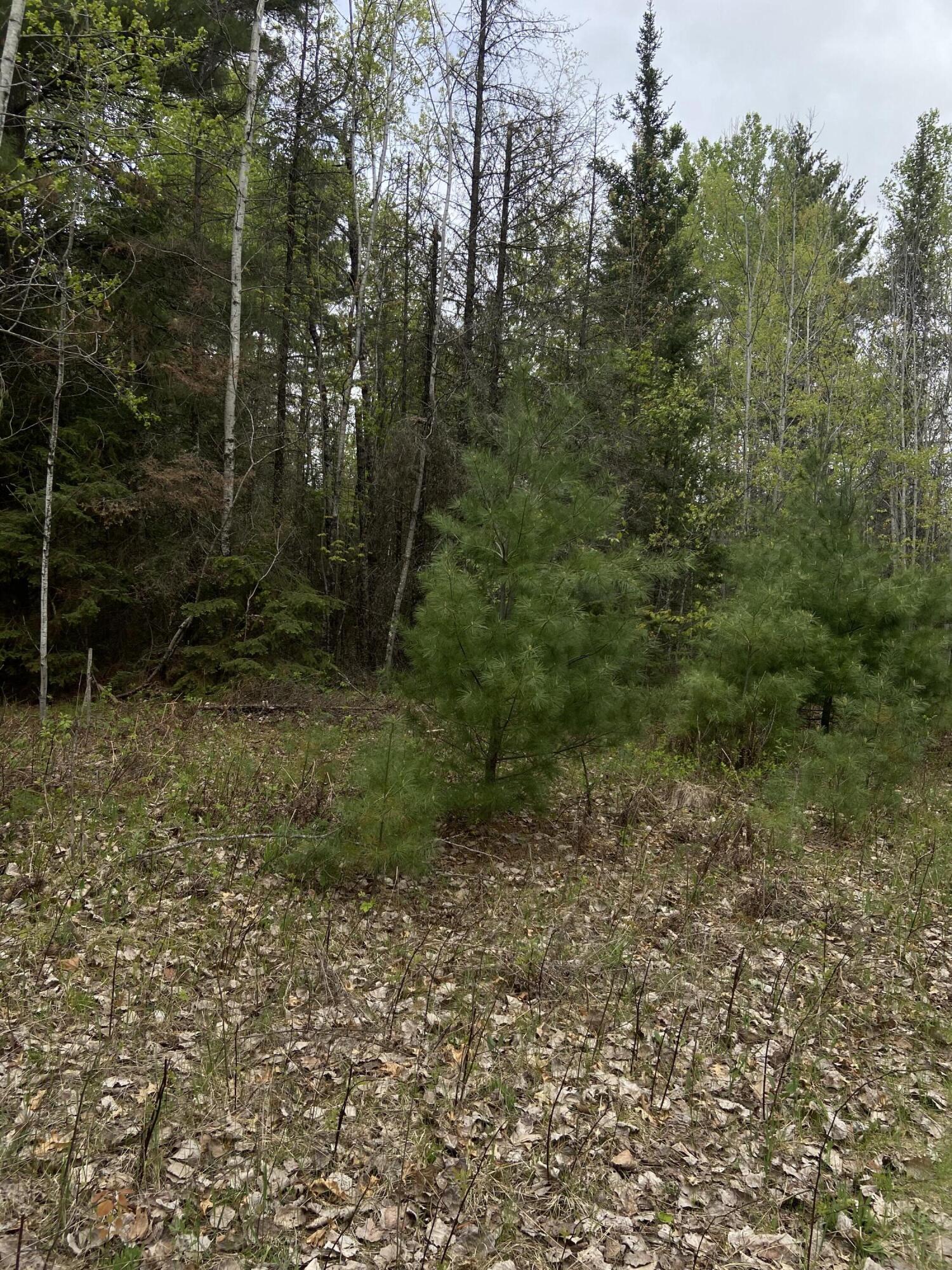 Lt0 Barker Road Amberg, WI 54102 - Photo 1 of 1 IMG_2531