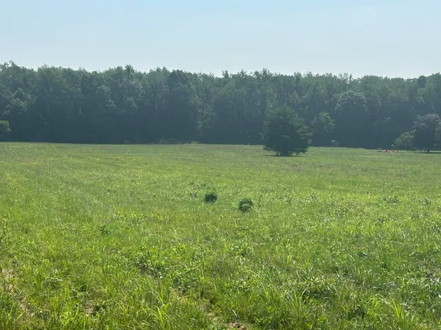 $99,900 | 62619 North County Road 365, Lawrence, MI 49064