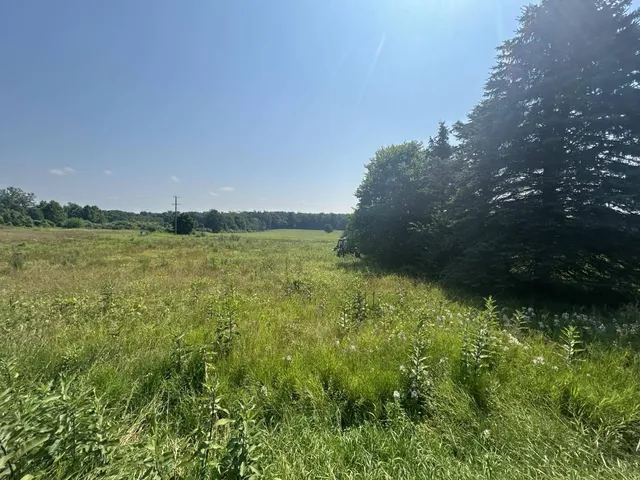 $99,900 | 62619 North County Road 365, Lawrence, MI 49064