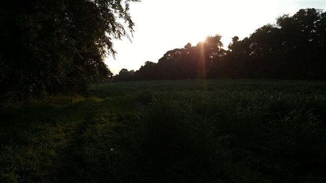 0 1598 Patty Road Delano, TN 37325 - Photo 7 of 8