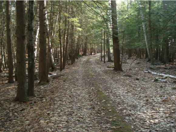 381 Meredith Neck Road Meredith, NH 03253 - Photo 20 of 34