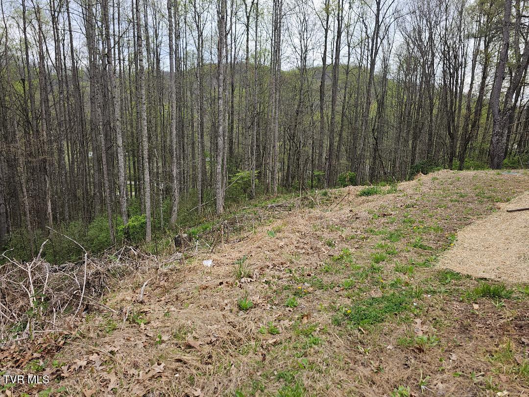 12702 Crab Orchard Road Coeburn, VA 24230 - Photo 15 of 32 9