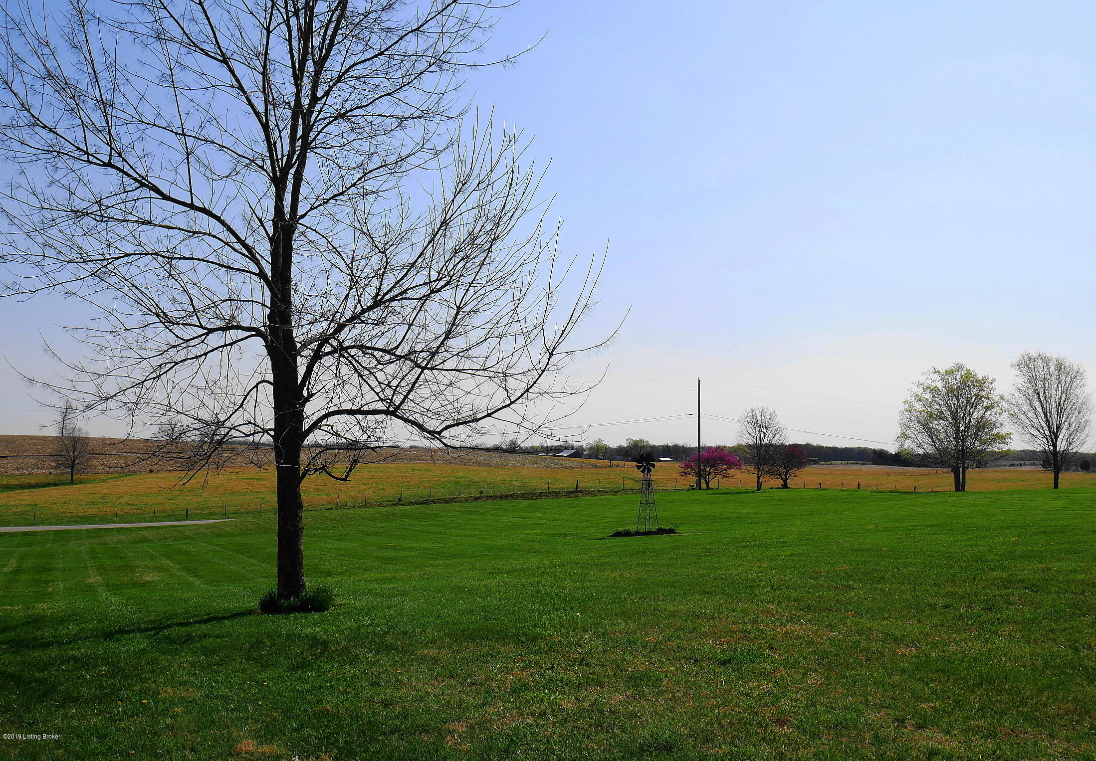 945 Fred Fackler Road Brandenburg, KY 40108 - Photo 63 of 103 945 Fred Fackler Resize (22)