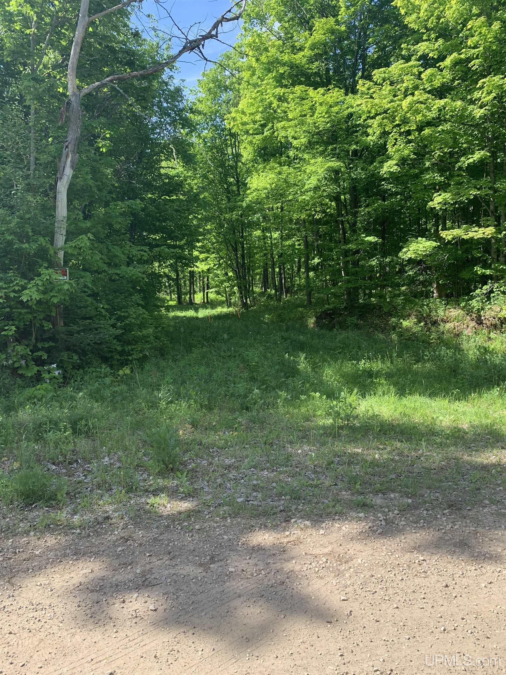 E3985 East 23rd Road Chatham, MI 49816 - Photo 14 of 33