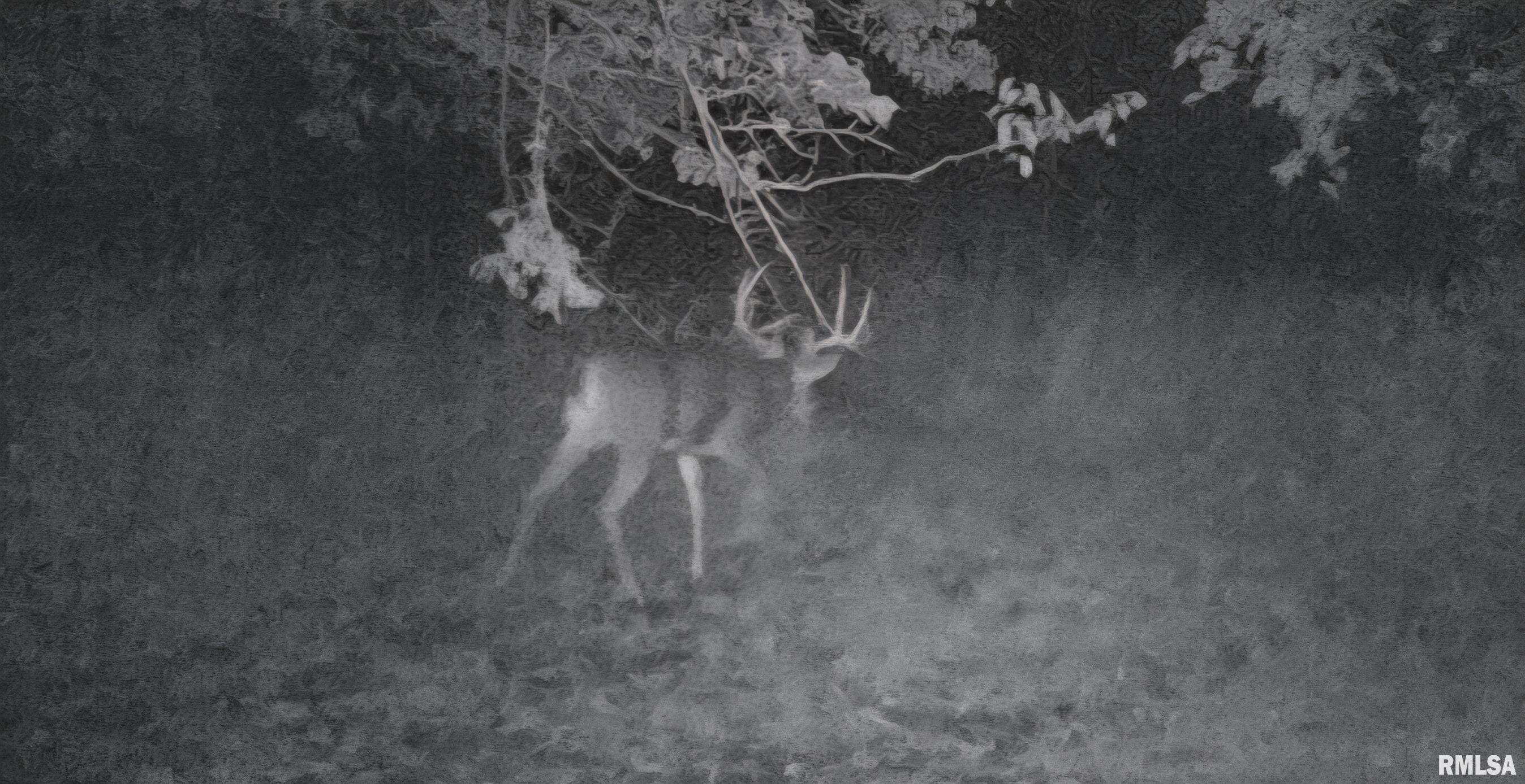 0 Cedar Road Kell, IL 62853 - Photo 34 of 37