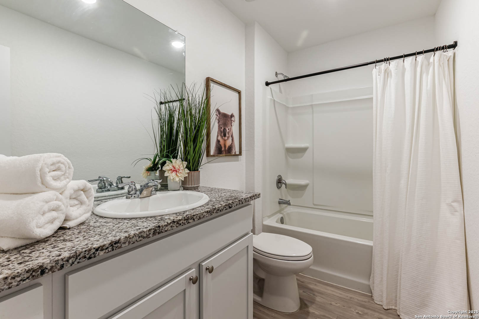 5935 Texas Spur Seguin, TX 78155 - Photo 15 of 20