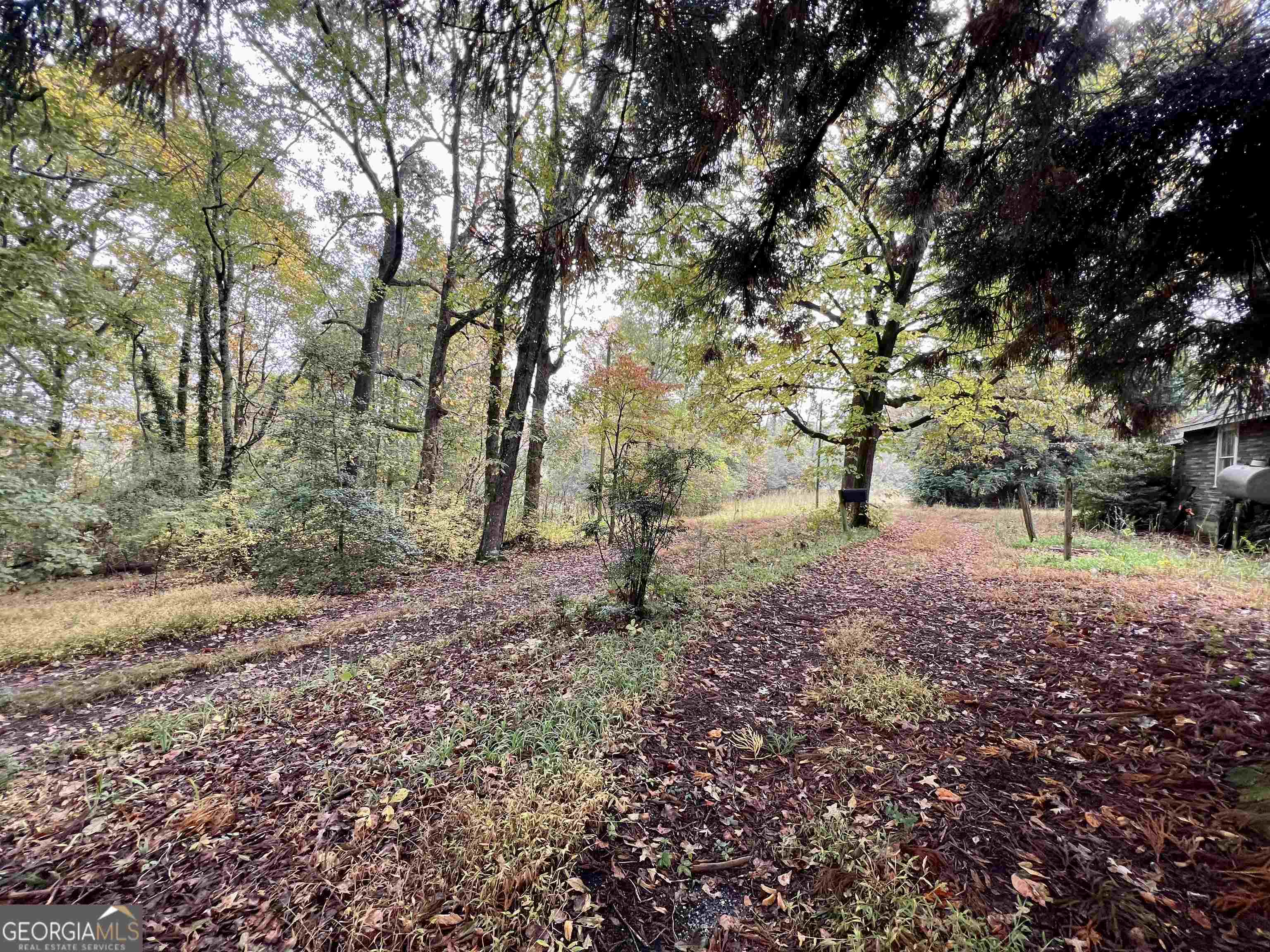 236 Mini Ranch Road Clarkesville, GA 30523 - Photo 2 of 8