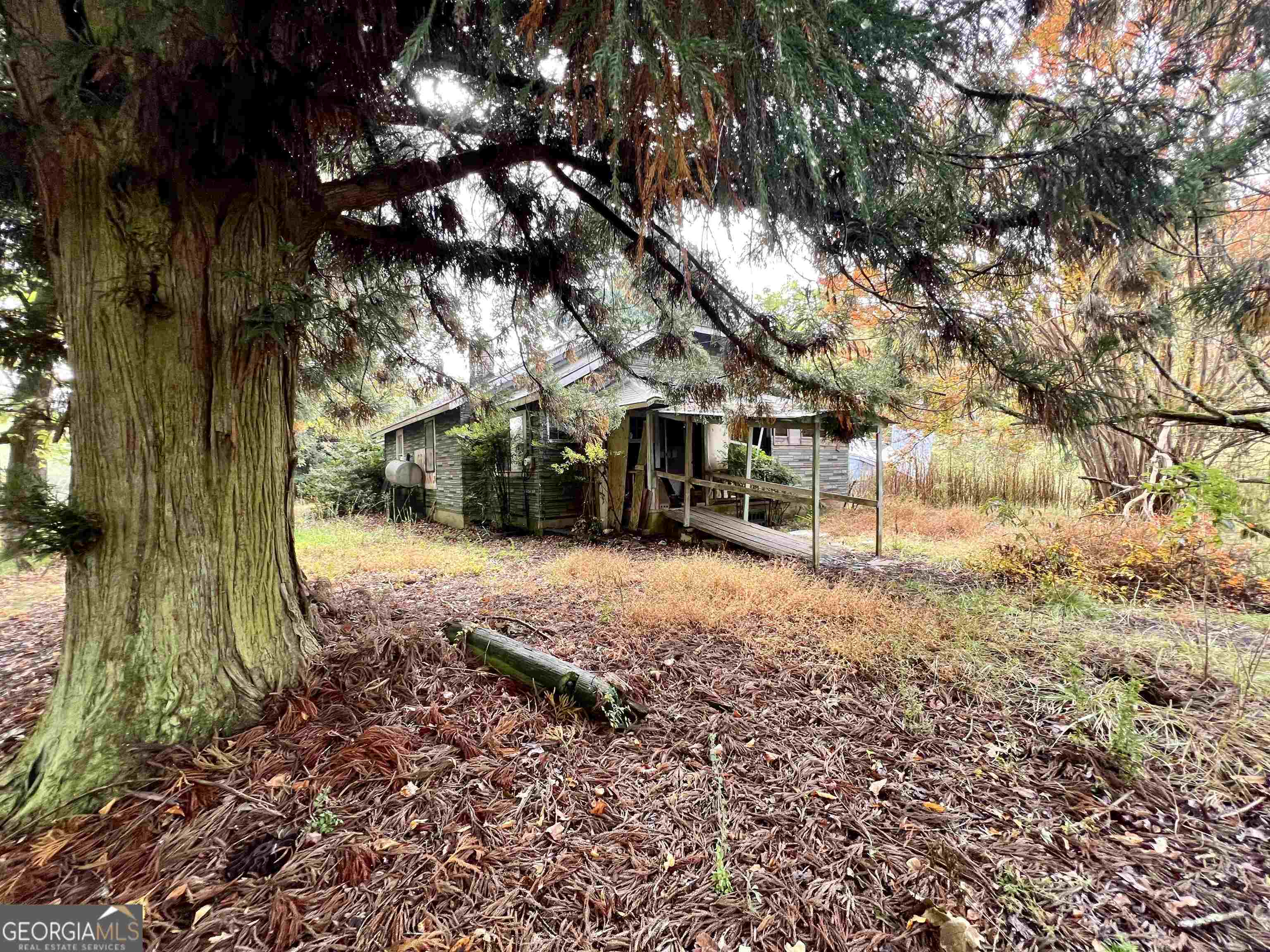 236 Mini Ranch Road Clarkesville, GA 30523 - Photo 4 of 8