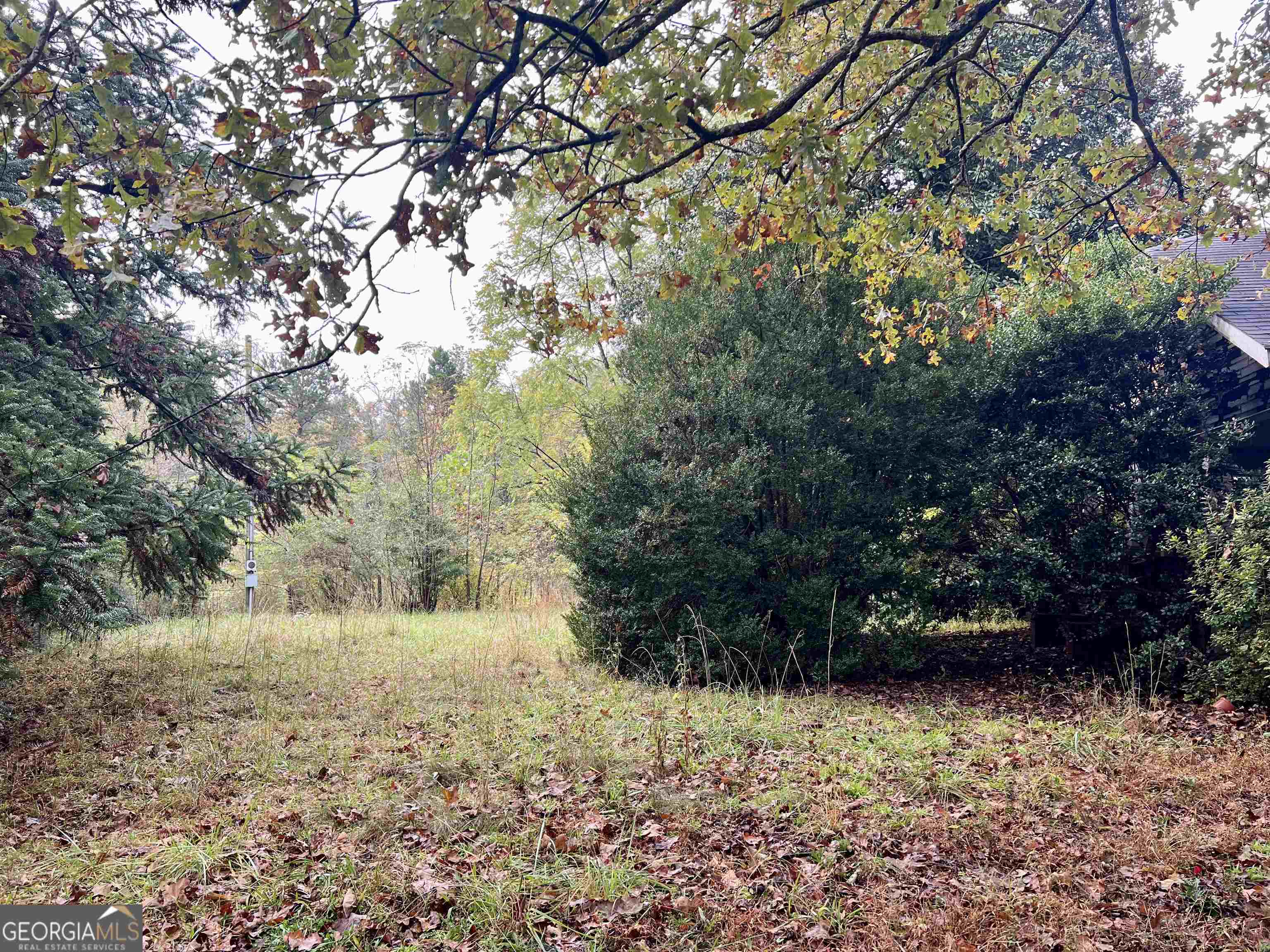 236 Mini Ranch Road Clarkesville, GA 30523 - Photo 7 of 8