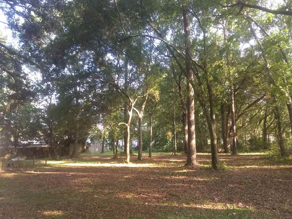 18688 Bull Springs Road Robertsdale, AL 36567 - Photo 5 of 20