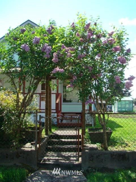 1332 2nd Street Cosmopolis, WA 98537 - Photo 3 of 23 Gallery Image 3