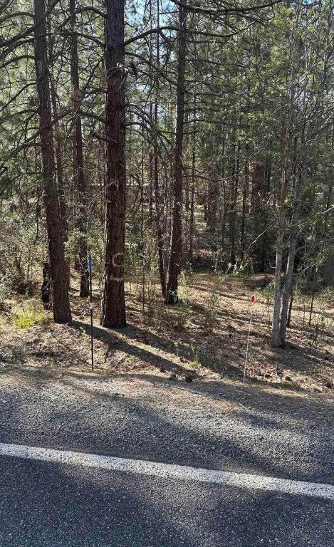 5711 Scott River Road Fort Jones, CA 96032 - Photo 3 of 5 Gallery Image 3