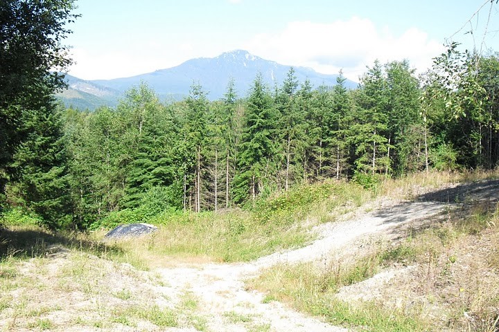 14 North Lake Roesiger Road, Unit LOT12 Snohomish, WA 98290 - Photo 1 of 1