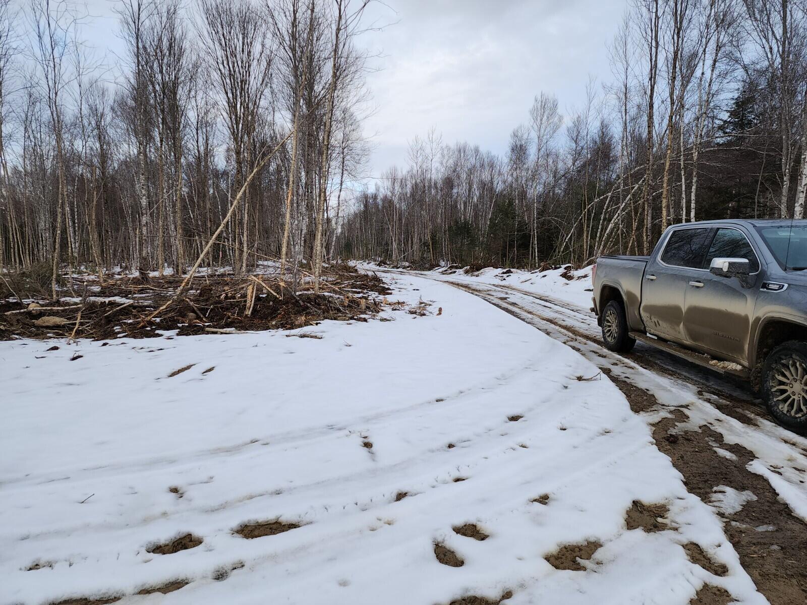 Lot 18 North Moores Road Springfield, ME 04487 - Photo 3 of 5 20230313_180119