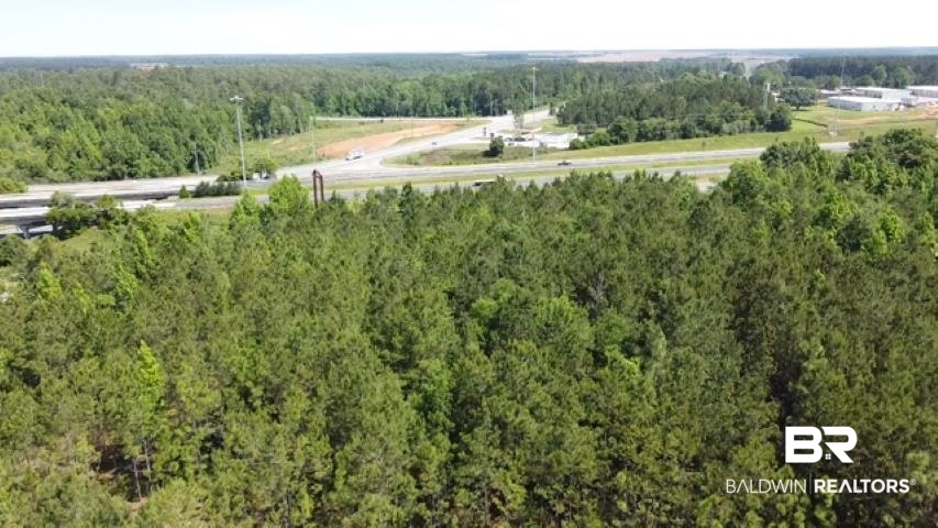 21 Highway 21 Atmore, AL 36502 - Photo 3 of 20