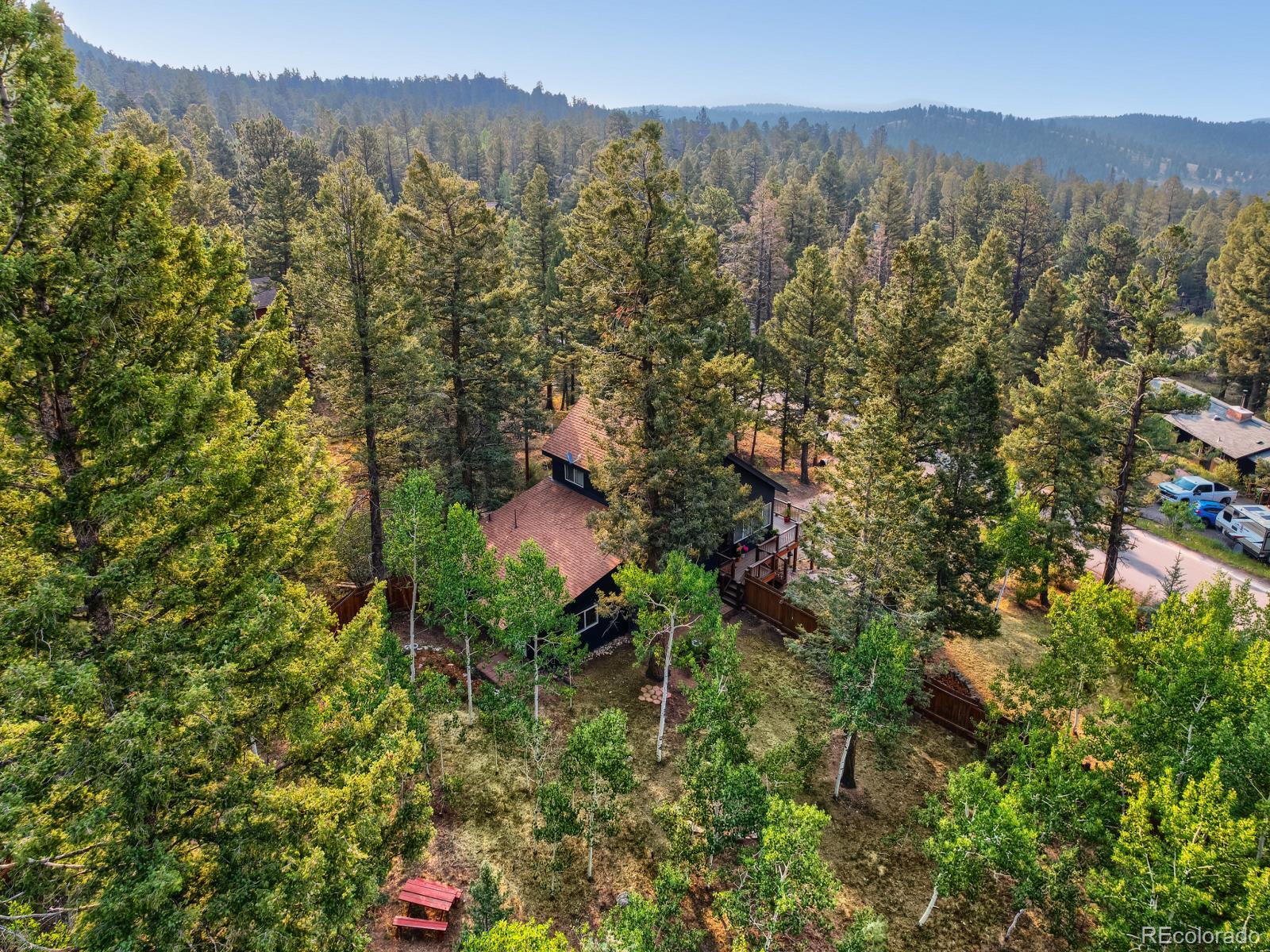 31289 Florence Road Conifer, CO 80433 - Photo 45 of 47