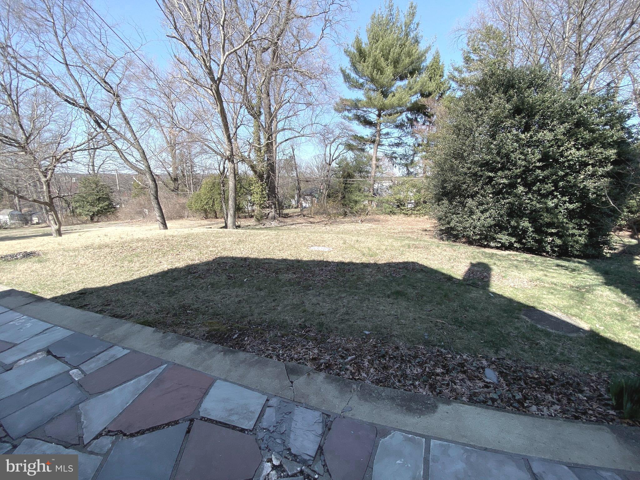 19 Woodhill Road Willow Grove, PA 19090 - Photo 23 of 24 a view of a yard with a tree