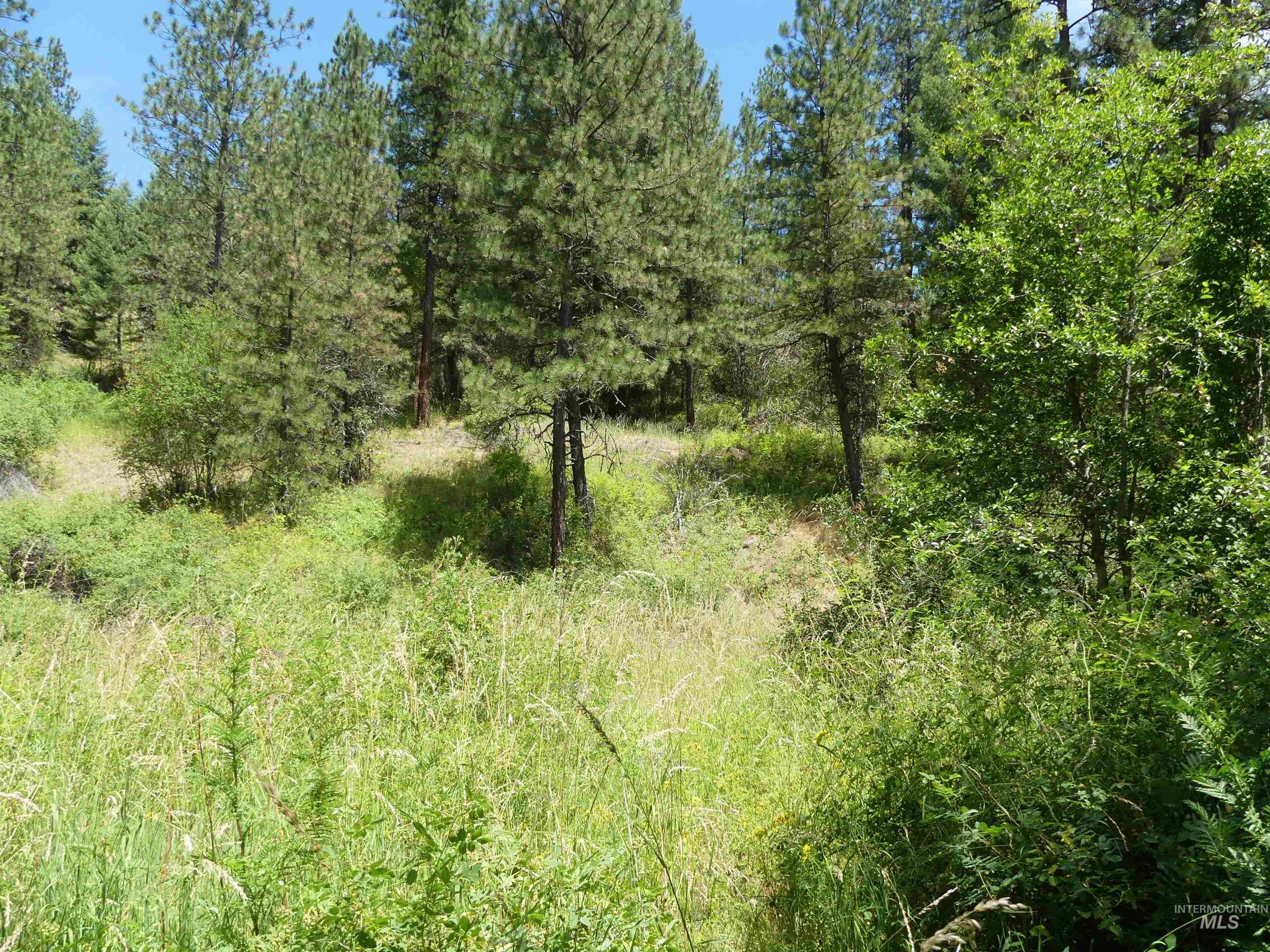 46601 Little Canyon Road Orofino, ID 83544 - Photo 17 of 46