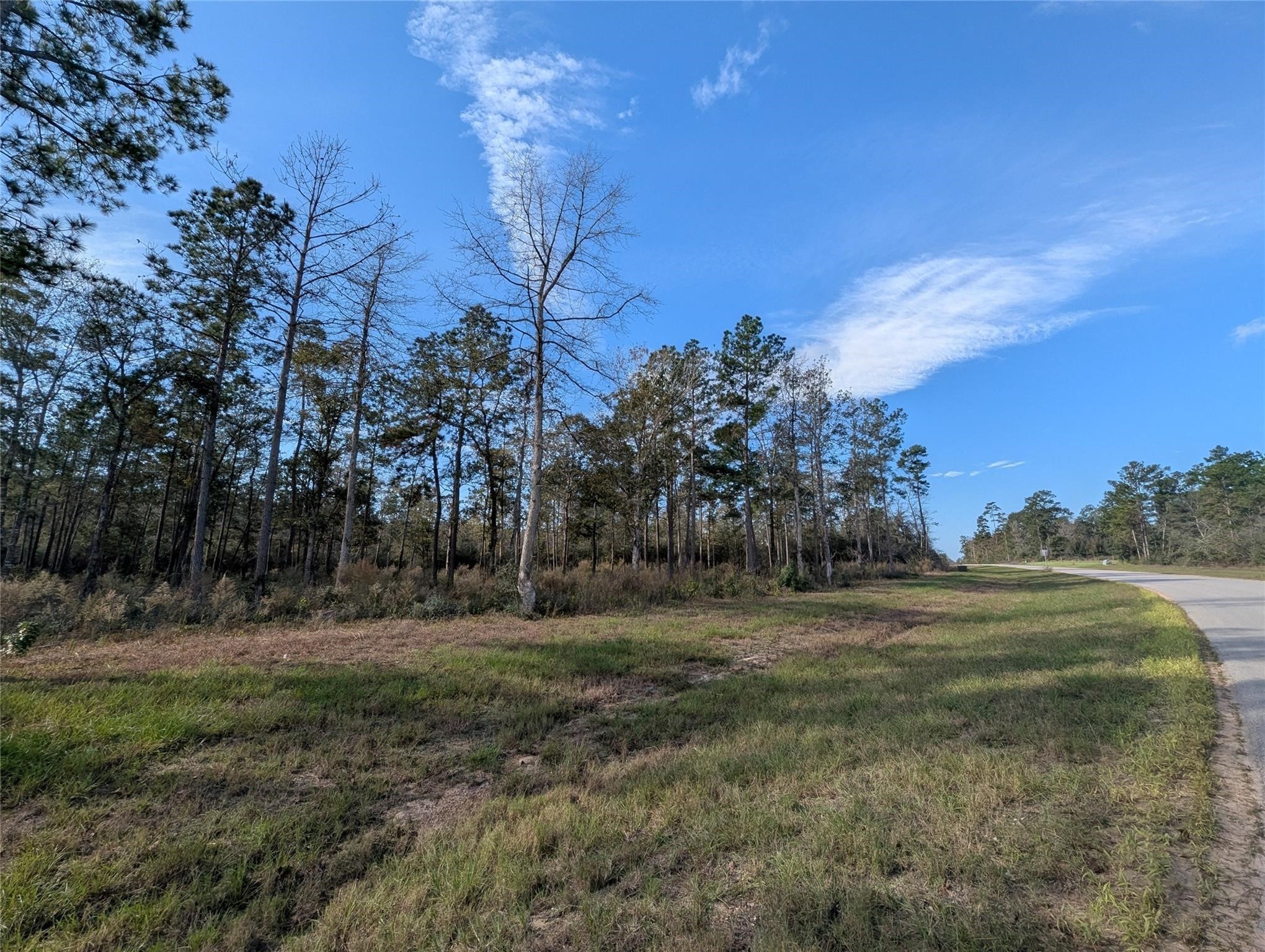10698 Ruger Road Willis, TX 77378 - Photo 2 of 11 a view of dirt field with trees