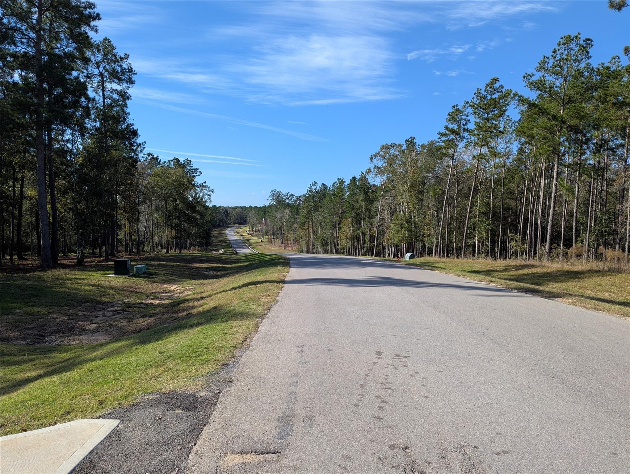 10698 Ruger Road Willis, TX 77378 - Photo 5 of 11 a view of swimming pool with large trees