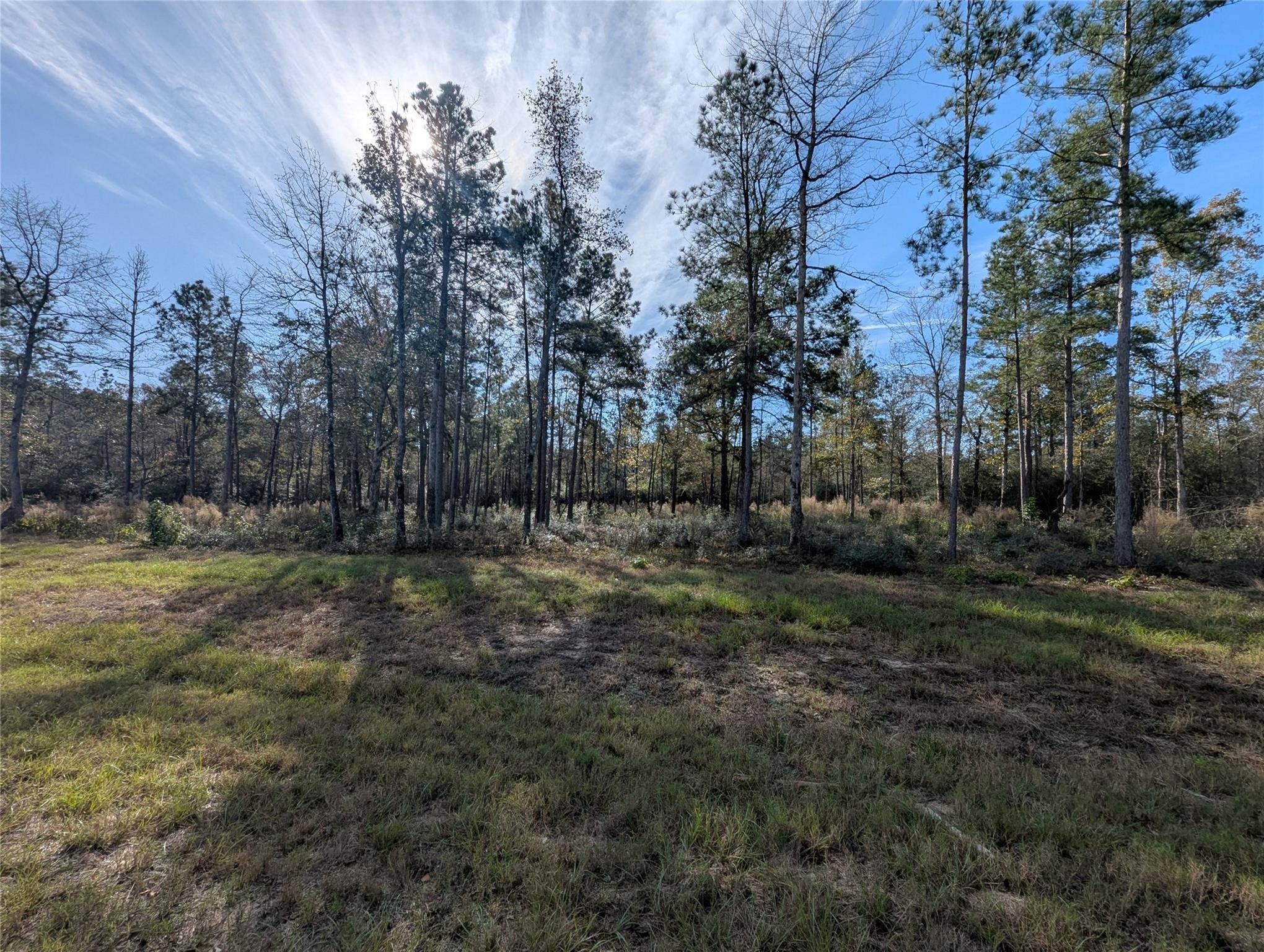 10698 Ruger Road Willis, TX 77378 - Photo 7 of 11