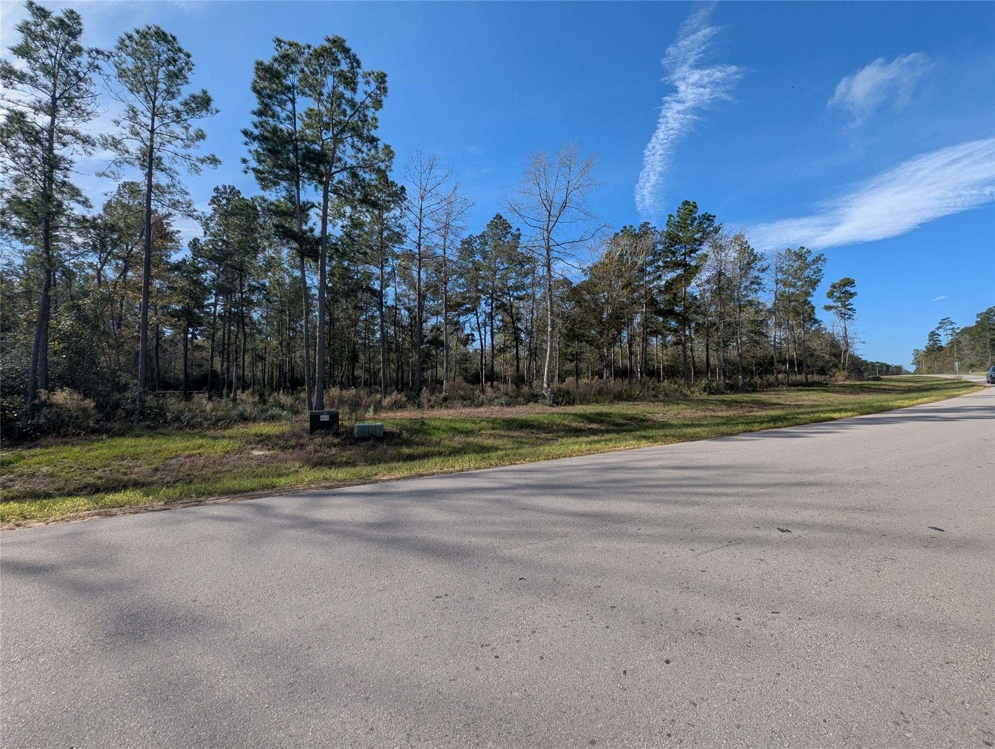 10698 Ruger Road Willis, TX 77378 - Photo 8 of 11 a view of a house with a big yard