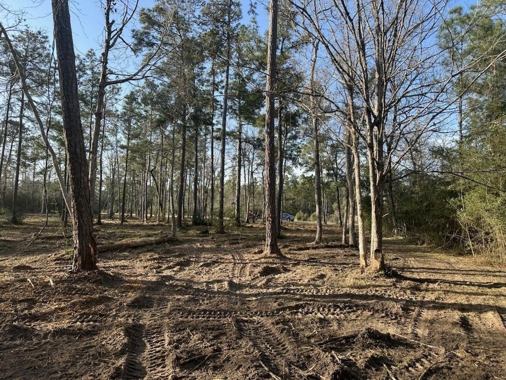 10698 Ruger Road Willis, TX 77378 - Photo 10 of 11 a view of a backyard with trees