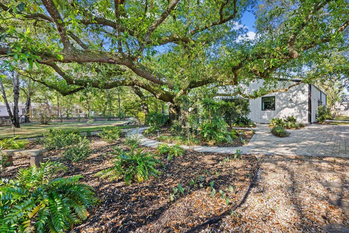 3574 Bob Tolbert Road Navarre, FL 32566 - Photo 62 of 67 a view of a yard with plants and large trees