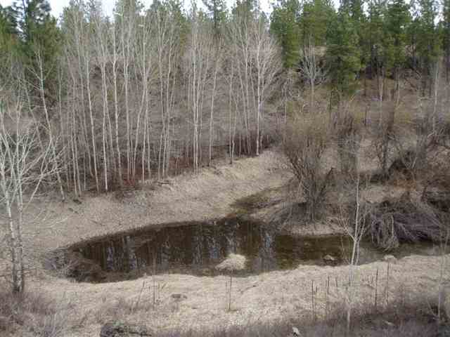 20015 South Harrison Road, Unit 0S HARRISON RD Edwall, WA 99008 - Photo 1 of 9 Gallery Image 1