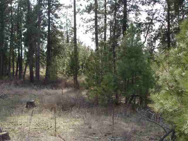 20015 South Harrison Road, Unit 0S HARRISON RD Edwall, WA 99008 - Photo 2 of 9 Gallery Image 2
