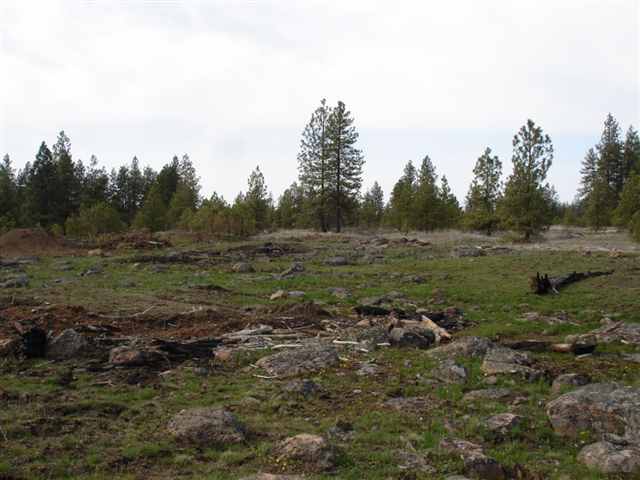 20015 South Harrison Road, Unit 0S HARRISON RD Edwall, WA 99008 - Photo 3 of 9 Gallery Image 3