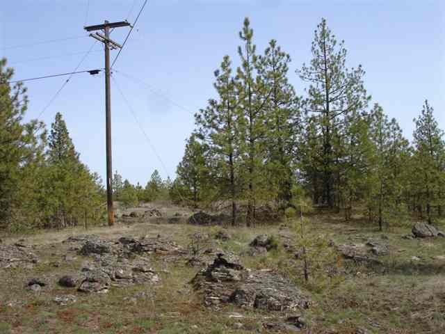 20015 South Harrison Road, Unit 0S HARRISON RD Edwall, WA 99008 - Photo 4 of 9 Gallery Image 4