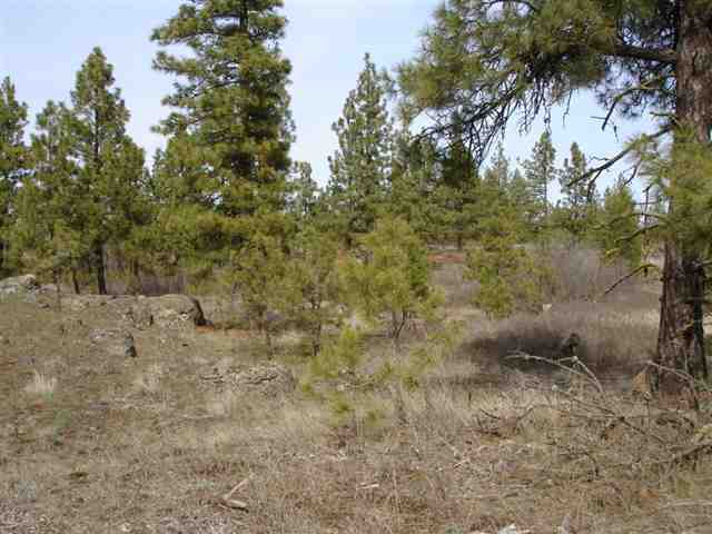 20015 South Harrison Road, Unit 0S HARRISON RD Edwall, WA 99008 - Photo 5 of 9 Gallery Image 5