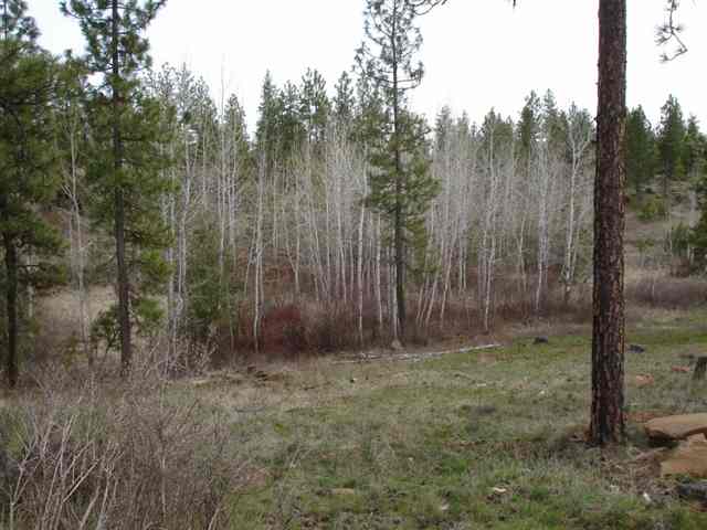 20015 South Harrison Road, Unit 0S HARRISON RD Edwall, WA 99008 - Photo 6 of 9 Gallery Image 6