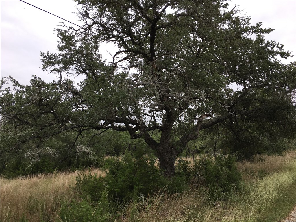 405 Valley Ridge Road Wimberley, TX 78676 - Photo 1 of 1