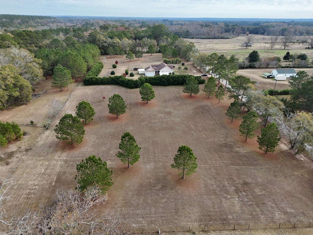 2-acr Lewis Road Cairo, GA 39828 - Photo 5 of 24 Gallery Image 5