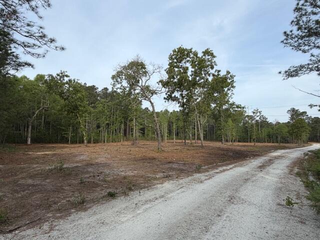2 Trojan Road Cross, SC 29436 - Photo 4 of 17