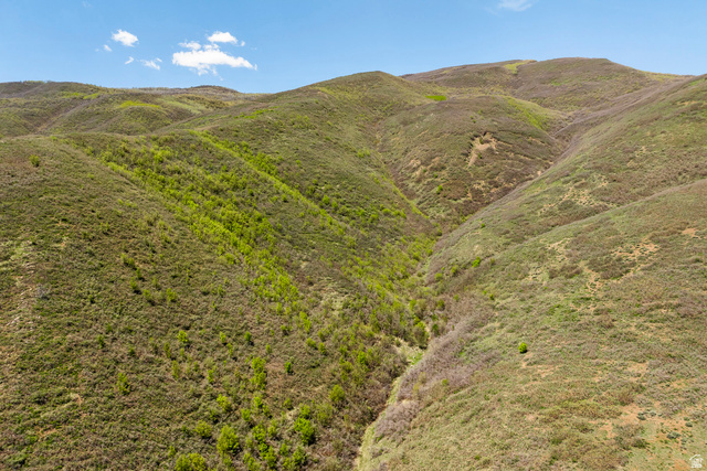 978 South Upland Loop, Unit 22 Midway, UT 84049 - Photo 9 of 22