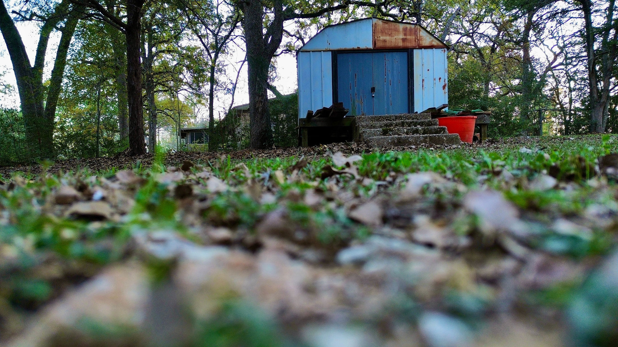 9278 Highway 77 Lexington, TX 78947 - Photo 27 of 37 a view of a back yard